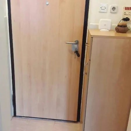 Old Town Logavina Apartment